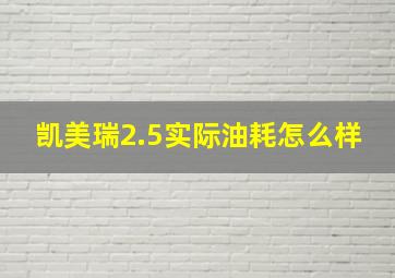 凯美瑞2.5实际油耗怎么样