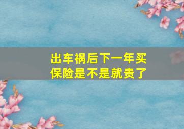 出车祸后下一年买保险是不是就贵了