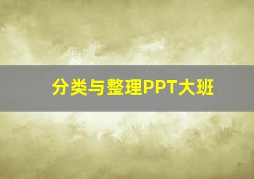 分类与整理PPT大班