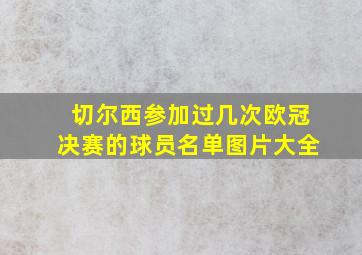 切尔西参加过几次欧冠决赛的球员名单图片大全