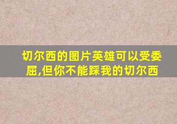 切尔西的图片英雄可以受委屈,但你不能踩我的切尔西