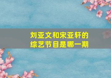 刘亚文和宋亚轩的综艺节目是哪一期