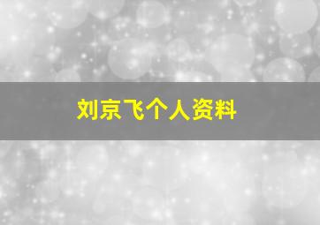 刘京飞个人资料