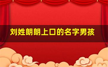 刘姓朗朗上口的名字男孩