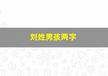 刘姓男孩两字