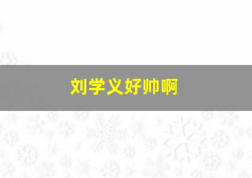 刘学义好帅啊