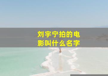 刘宇宁拍的电影叫什么名字