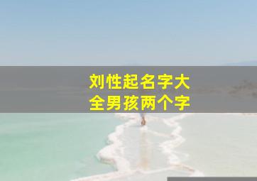 刘性起名字大全男孩两个字