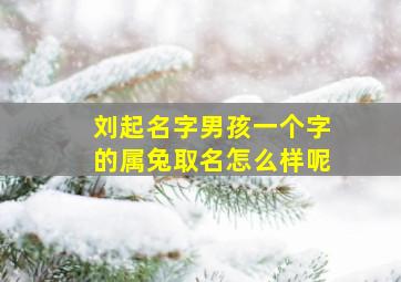 刘起名字男孩一个字的属兔取名怎么样呢