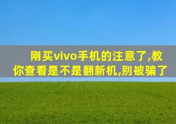 刚买vivo手机的注意了,教你查看是不是翻新机,别被骗了