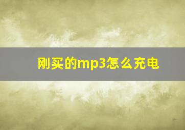 刚买的mp3怎么充电