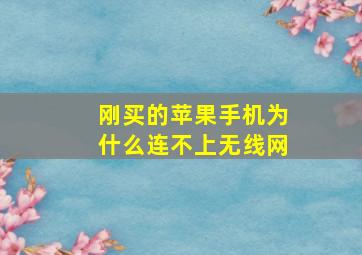 刚买的苹果手机为什么连不上无线网