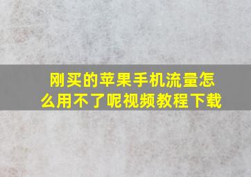 刚买的苹果手机流量怎么用不了呢视频教程下载