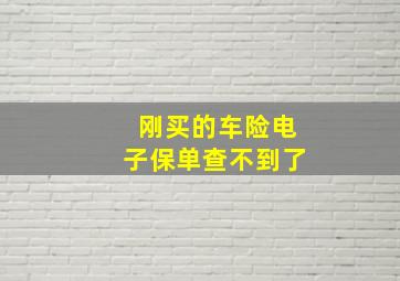 刚买的车险电子保单查不到了