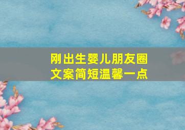 刚出生婴儿朋友圈文案简短温馨一点