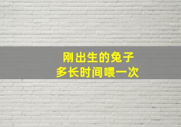 刚出生的兔子多长时间喂一次