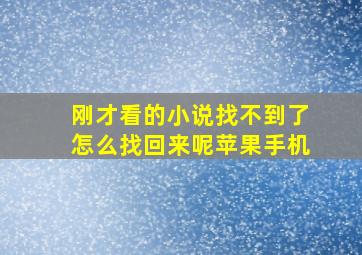 刚才看的小说找不到了怎么找回来呢苹果手机