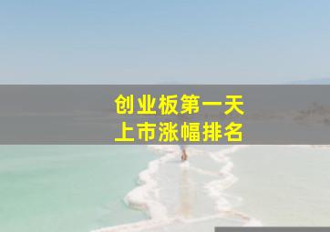 创业板第一天上市涨幅排名