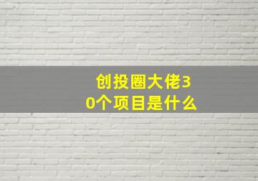 创投圈大佬30个项目是什么