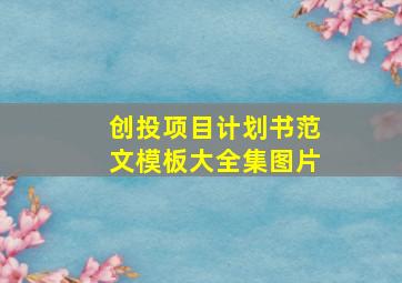 创投项目计划书范文模板大全集图片