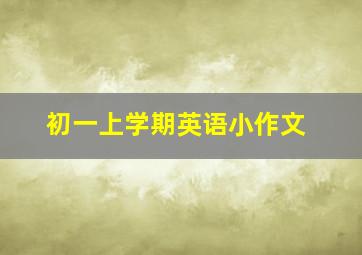 初一上学期英语小作文