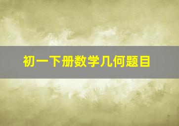 初一下册数学几何题目