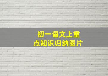 初一语文上重点知识归纳图片