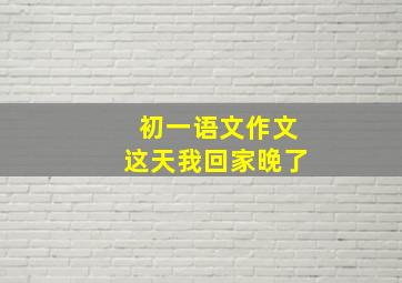 初一语文作文这天我回家晚了