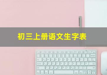 初三上册语文生字表