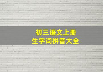 初三语文上册生字词拼音大全