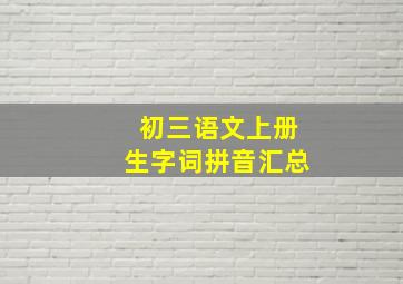 初三语文上册生字词拼音汇总