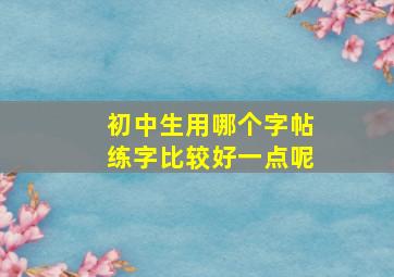 初中生用哪个字帖练字比较好一点呢