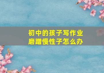 初中的孩子写作业磨蹭慢性子怎么办