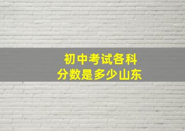 初中考试各科分数是多少山东