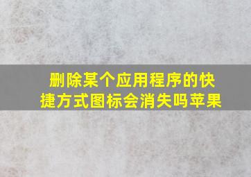 删除某个应用程序的快捷方式图标会消失吗苹果