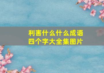 利害什么什么成语四个字大全集图片