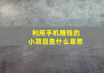 利用手机赚钱的小项目是什么意思