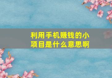 利用手机赚钱的小项目是什么意思啊