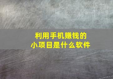 利用手机赚钱的小项目是什么软件