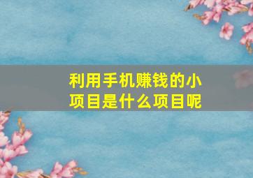 利用手机赚钱的小项目是什么项目呢