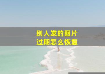 别人发的图片过期怎么恢复