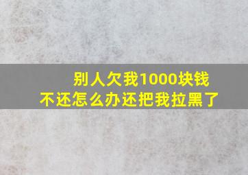 别人欠我1000块钱不还怎么办还把我拉黑了