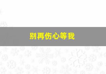 别再伤心等我