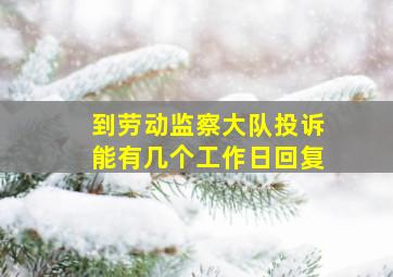 到劳动监察大队投诉能有几个工作日回复