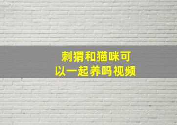 刺猬和猫咪可以一起养吗视频