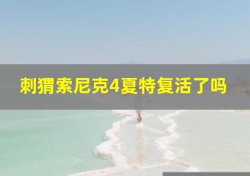 刺猬索尼克4夏特复活了吗