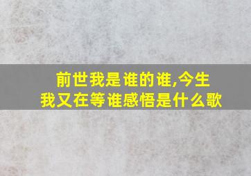 前世我是谁的谁,今生我又在等谁感悟是什么歌