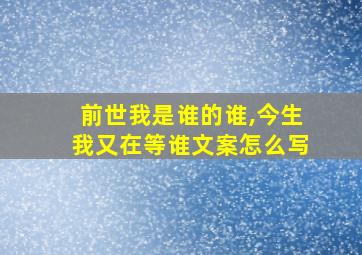 前世我是谁的谁,今生我又在等谁文案怎么写