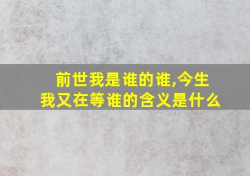 前世我是谁的谁,今生我又在等谁的含义是什么