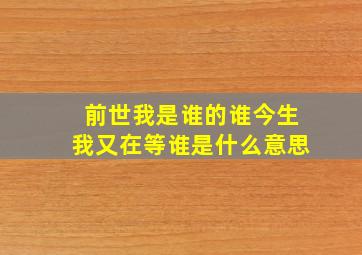 前世我是谁的谁今生我又在等谁是什么意思